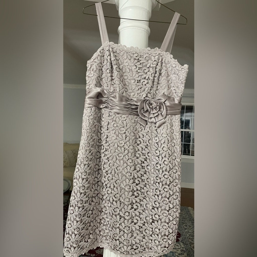 R&M Richard’s women’s silver Metallic lace and satin shift dress knee length 16W